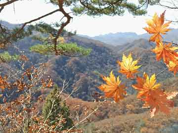46块烟煤多大,大块烟煤多少钱一吨